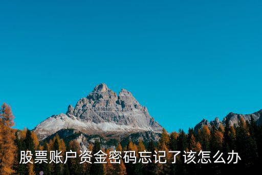 股票賬戶資金密碼忘記了該怎么辦