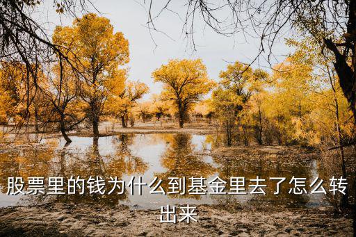 股票里的錢(qián)為什么到基金里去了怎么轉(zhuǎn)出來(lái)