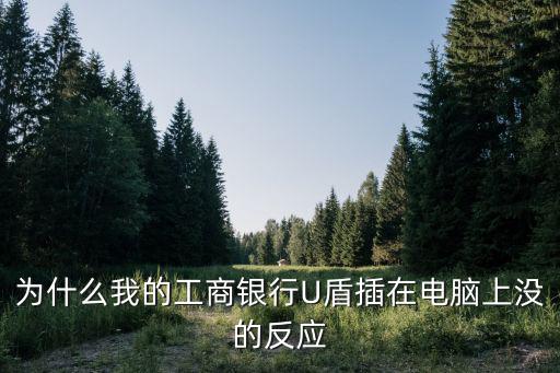工商u盾怎么用不了，工商銀行U盾使用不了怎么辦啊