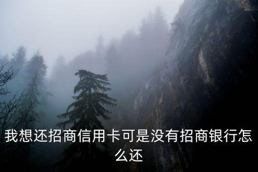 我想還招商信用卡可是沒有招商銀行怎么還