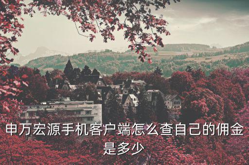 申萬(wàn)宏源手機(jī)客戶端怎么查自己的傭金是多少