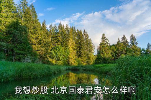 我想炒股 北京國泰君安怎么樣啊