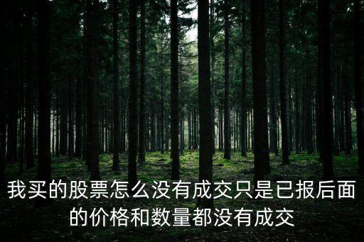 我買的股票怎么沒有成交只是已報(bào)后面的價(jià)格和數(shù)量都沒有成交