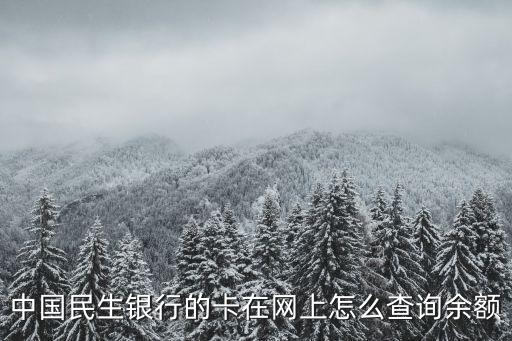民生怎么短信查詢(xún)余額，民生銀行信用卡網(wǎng)上如何查詢(xún)消費(fèi)情況與欠費(fèi)金額有身份證號(hào)和密