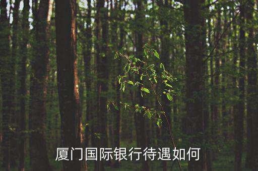 廈門國際銀行待遇如何