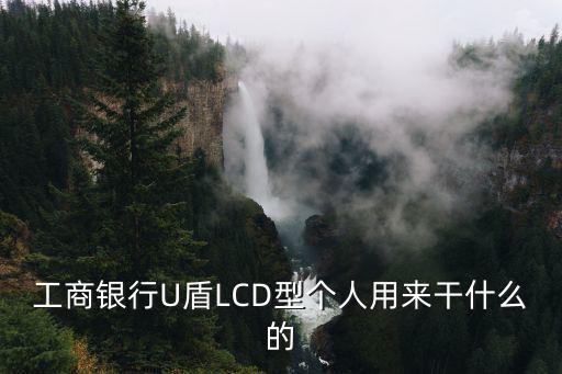 工商銀行U盾LCD型個(gè)人用來(lái)干什么的