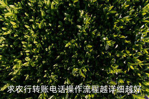 求農(nóng)行轉(zhuǎn)賬電話操作流程越詳細越好