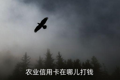 農業(yè)信用卡在哪兒打錢