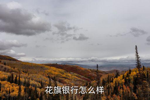 無錫花旗銀行怎么樣，花旗是一間怎么樣的銀行
