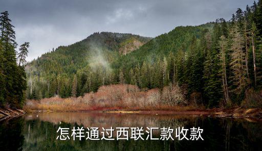 怎樣通過西聯(lián)匯款收款