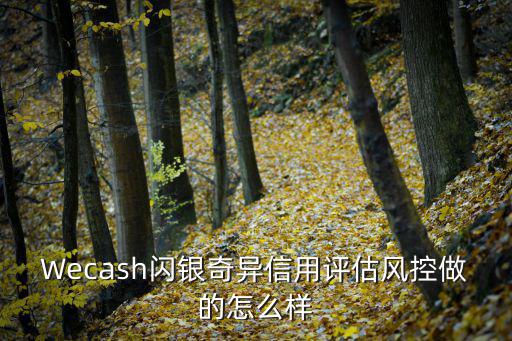 Wecash閃銀奇異信用評估風(fēng)控做的怎么樣