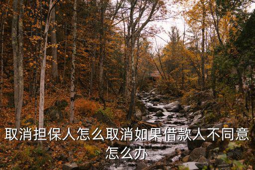 貸款擔(dān)保人怎么取消，取消擔(dān)保人怎么取消如果借款人不同意怎么辦