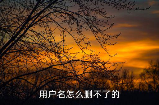 用戶名怎么刪不了的