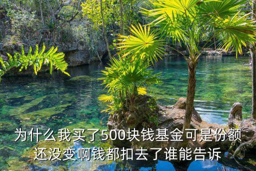 為什么我買了500塊錢基金可是份額還沒變啊錢都扣去了誰能告訴
