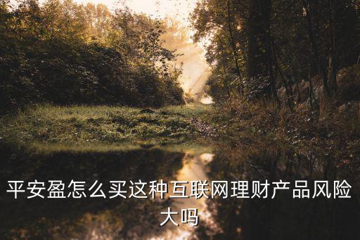 平安盈怎么買這種互聯(lián)網(wǎng)理財(cái)產(chǎn)品風(fēng)險(xiǎn)大嗎