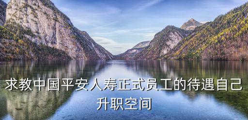 求教中國平安人壽正式員工的待遇自己升職空間