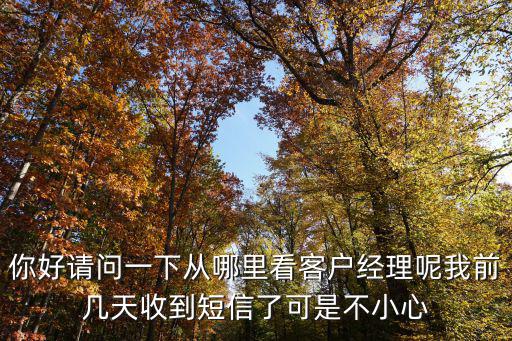 你好請(qǐng)問一下從哪里看客戶經(jīng)理呢我前幾天收到短信了可是不小心