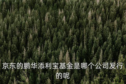 京東的鵬華添利寶基金是哪個(gè)公司發(fā)行的呢