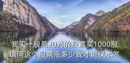 我買一股是20元的股票買1000股請問這個股票漲多少我才能保本怎