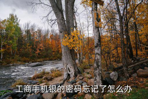 工行6位數(shù)電話銀行密碼忘了怎么辦，工商手機(jī)銀的密碼忘記了怎么辦