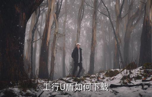 工行U盾如何下載