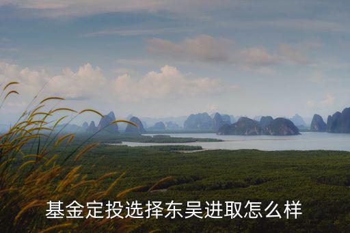 基金定投選擇東吳進取怎么樣