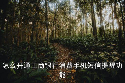 怎么開通工商銀行消費手機短信提醒功能