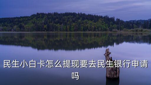 民生小白卡怎么提現(xiàn)要去民生銀行申請(qǐng)嗎