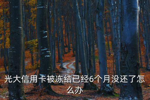 光大信用卡被凍結(jié)已經(jīng)6個(gè)月沒還了怎么辦