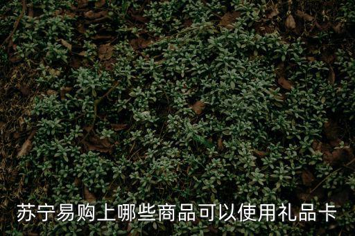 蘇寧易購(gòu)上哪些商品可以使用禮品卡