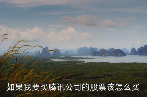 如果我要買騰訊公司的股票該怎么買