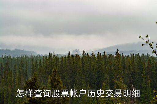 怎樣查詢股票帳戶歷史交易明細
