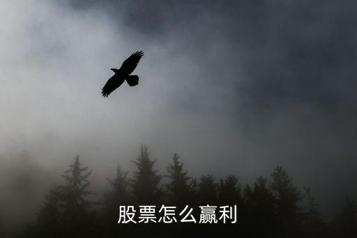 股票怎么贏利
