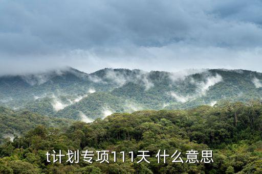t計劃專項111天 什么意思