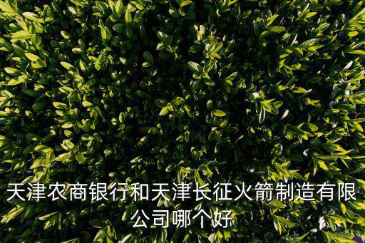 天津農(nóng)商銀行和天津長征火箭制造有限公司哪個(gè)好