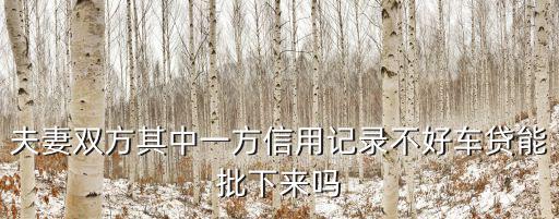 夫妻雙方其中一方信用記錄不好車貸能批下來(lái)嗎