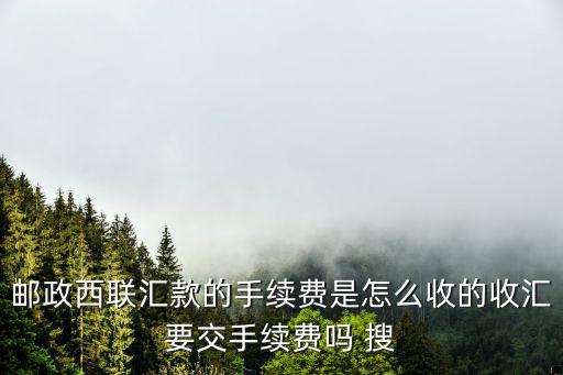 郵政西聯(lián)匯款的手續(xù)費(fèi)是怎么收的收匯要交手續(xù)費(fèi)嗎 搜