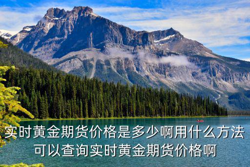 實時黃金期貨價格是多少啊用什么方法可以查詢實時黃金期貨價格啊