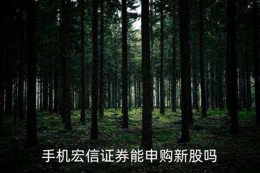 手機(jī)宏信證券能申購新股嗎