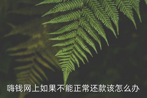 嗨錢網(wǎng)上如果不能正常還款該怎么辦