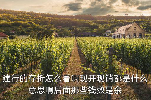 建行的存折怎么看啊現開現銷都是什么意思啊后面那些錢數是余