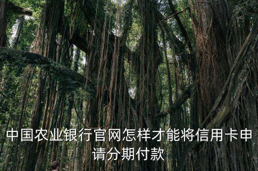 中國(guó)農(nóng)業(yè)銀行官網(wǎng)怎樣才能將信用卡申請(qǐng)分期付款