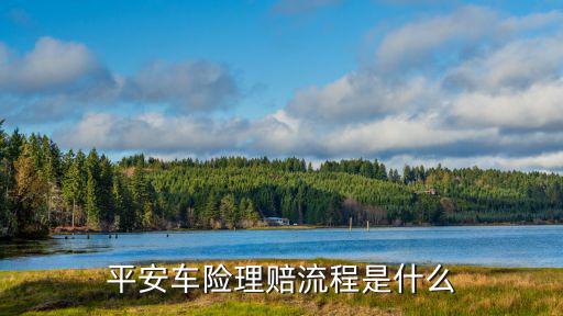 平安保險(xiǎn)是怎么理賠的，平安車險(xiǎn)如何理賠