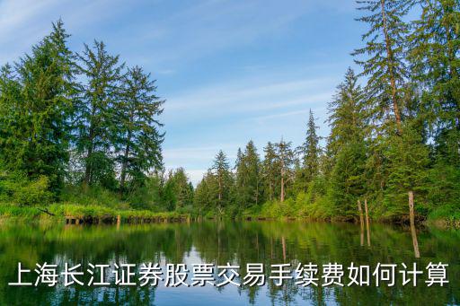 上海股票過戶費(fèi)怎么算，滬牌過戶費(fèi)多少錢