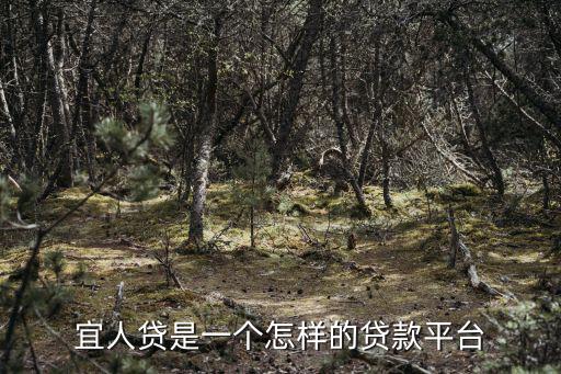 宜人貸是怎么操作的，申請(qǐng)了宜人貸填寫手機(jī)運(yùn)營(yíng)商審核一項(xiàng)時(shí)永遠(yuǎn)是這個(gè)頁(yè)面一個(gè)小時(shí)