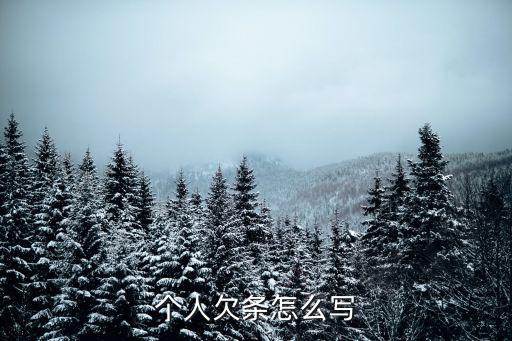 個(gè)人欠條怎么寫(xiě)