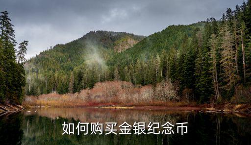 金銀紀念幣怎么買，金銀幣在哪里購買