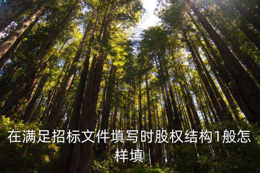 股權結構怎么填，企業(yè)注冊登記表中的股權結構怎么填
