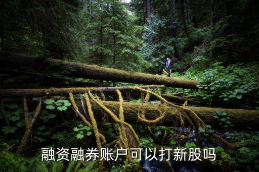 融資融券賬戶可以打新股嗎