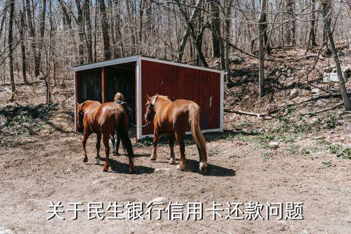 關(guān)于民生銀行信用卡還款問題